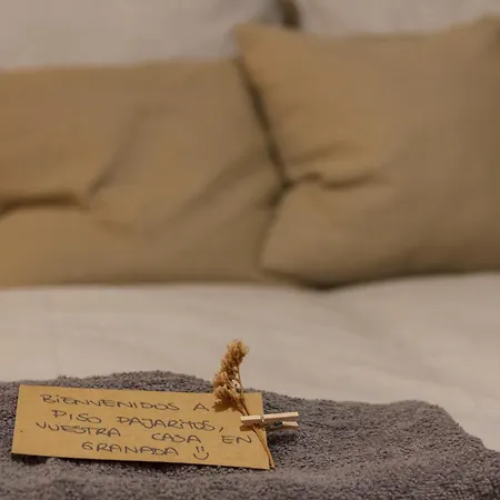 Piso Pajaritos גרנדה